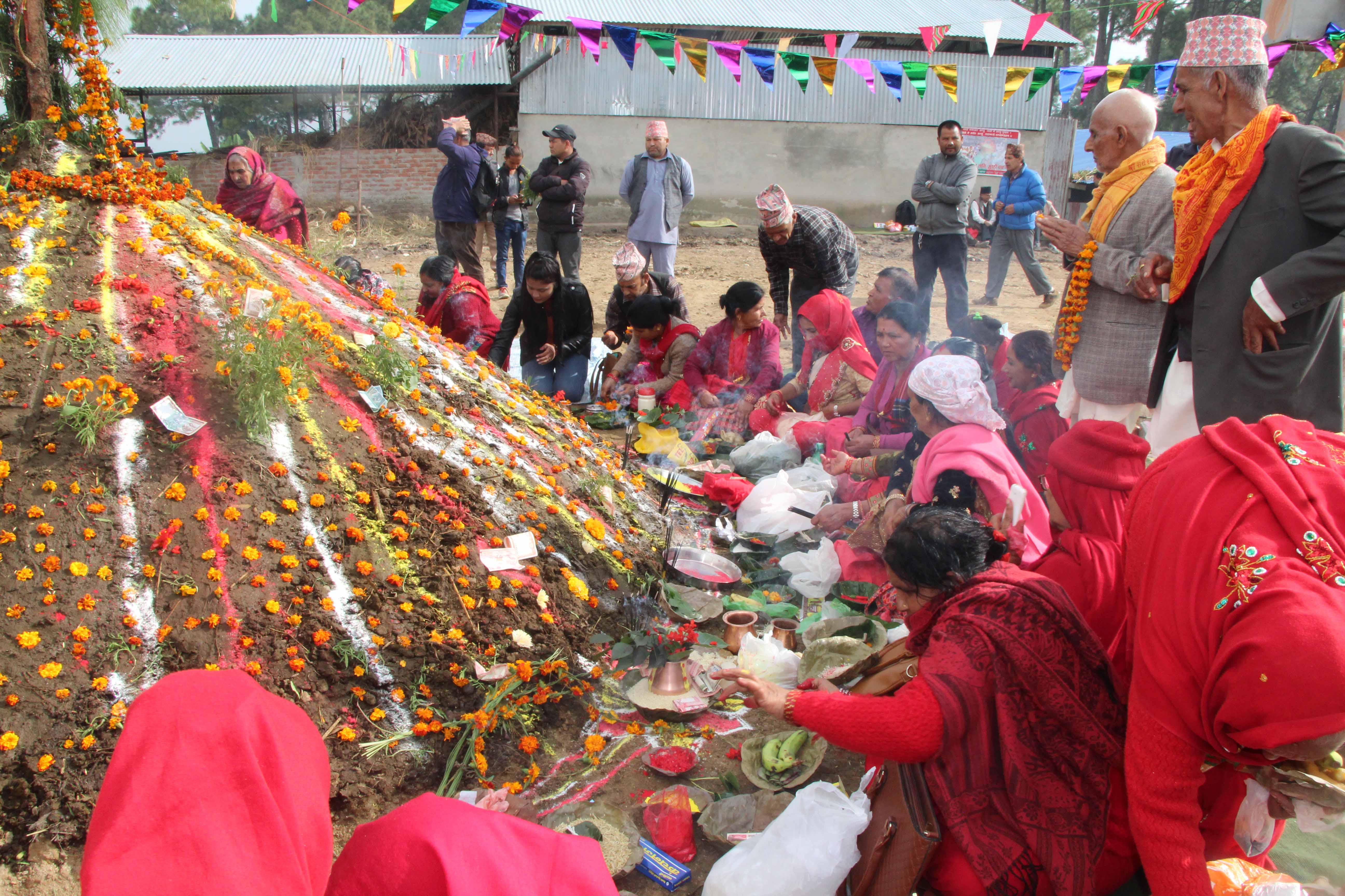 यमपञ्चक अन्तर्गत आज गोरु तिहार र नेवार समुदायले आज म्ह पूजा मनाइँदै 